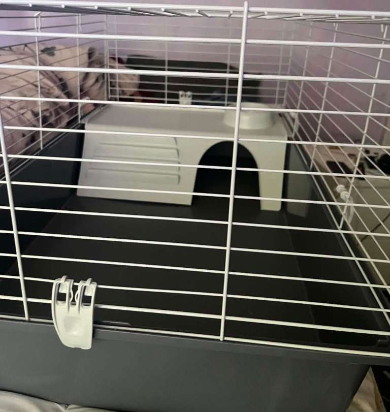 Indoor Guinea pig/rabbit cage