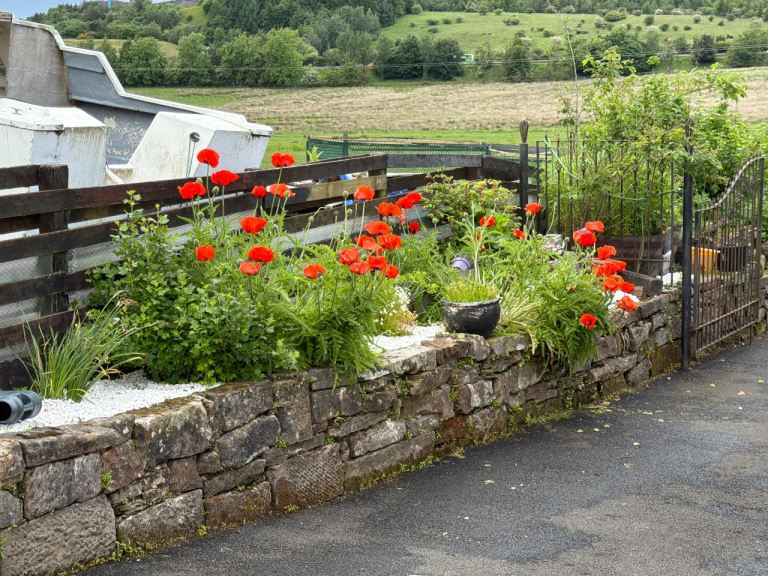 Professional weed spraying and garden services 