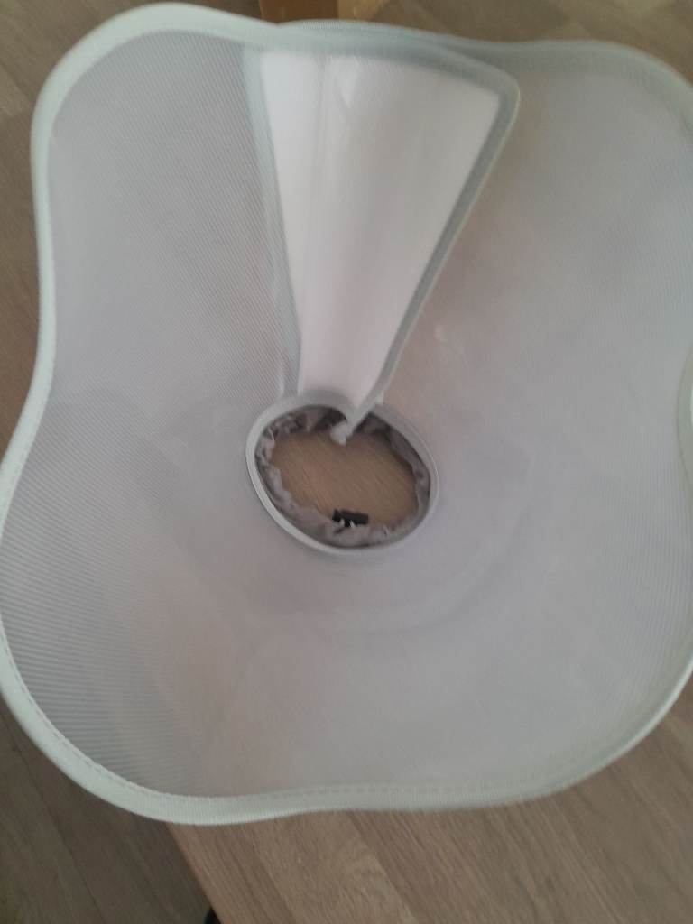 Brand New Dog Cone Collar