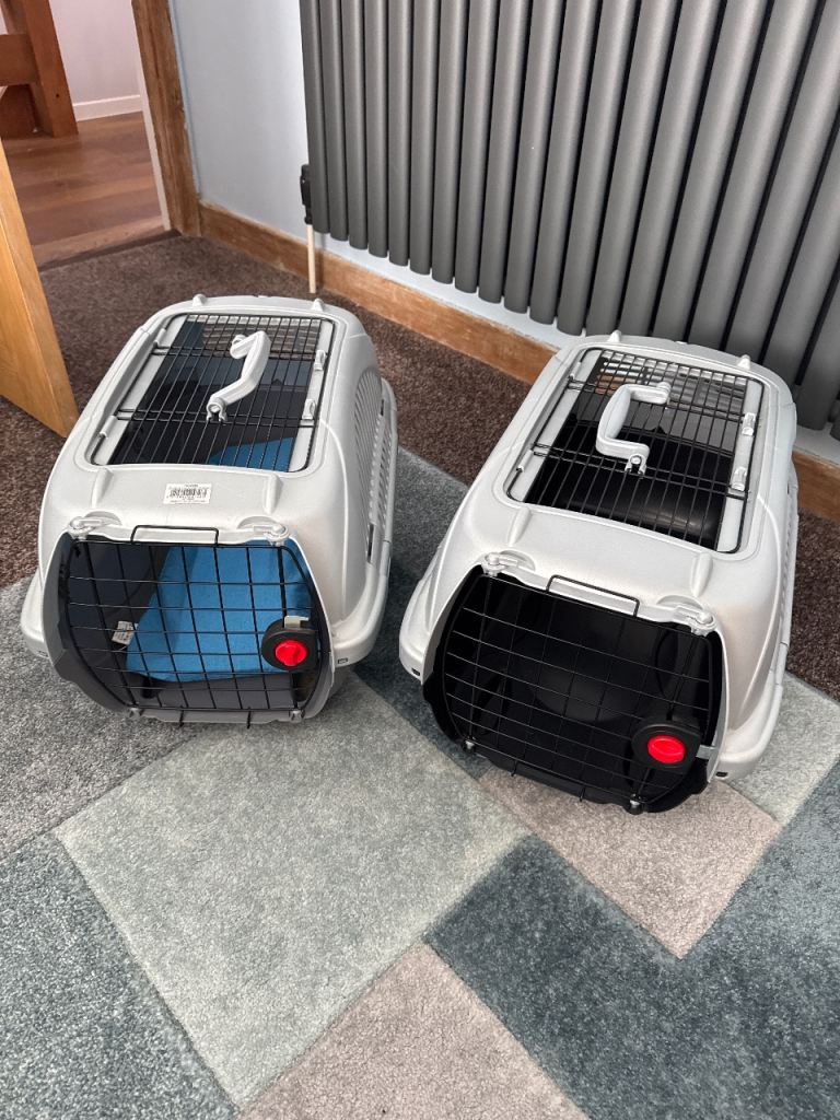 2 cat carriers