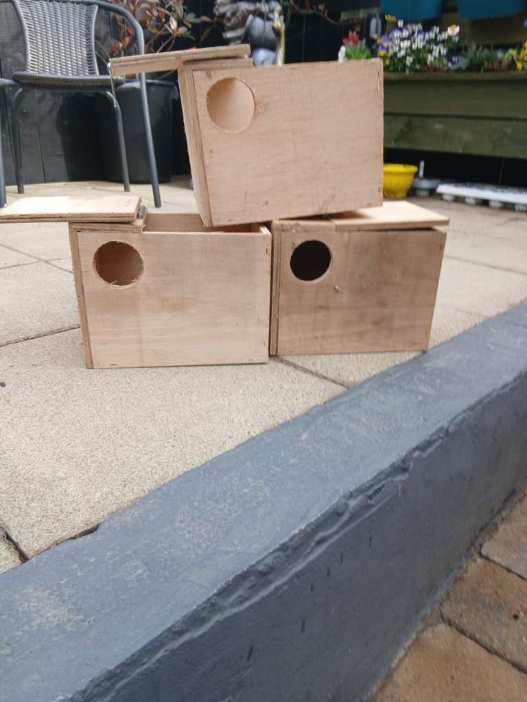 Small bird Nest boxes
