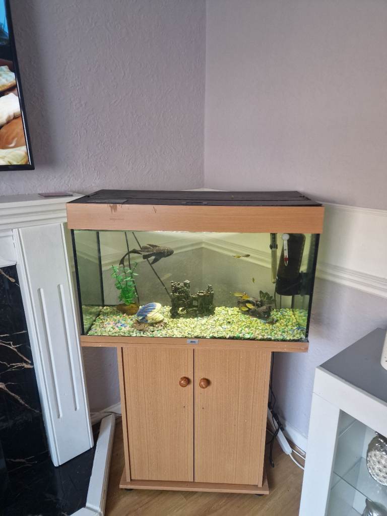 2 foot fish tank 