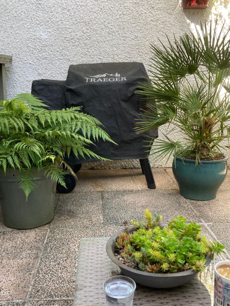 Traeger wood pellet BBQ Smoker 