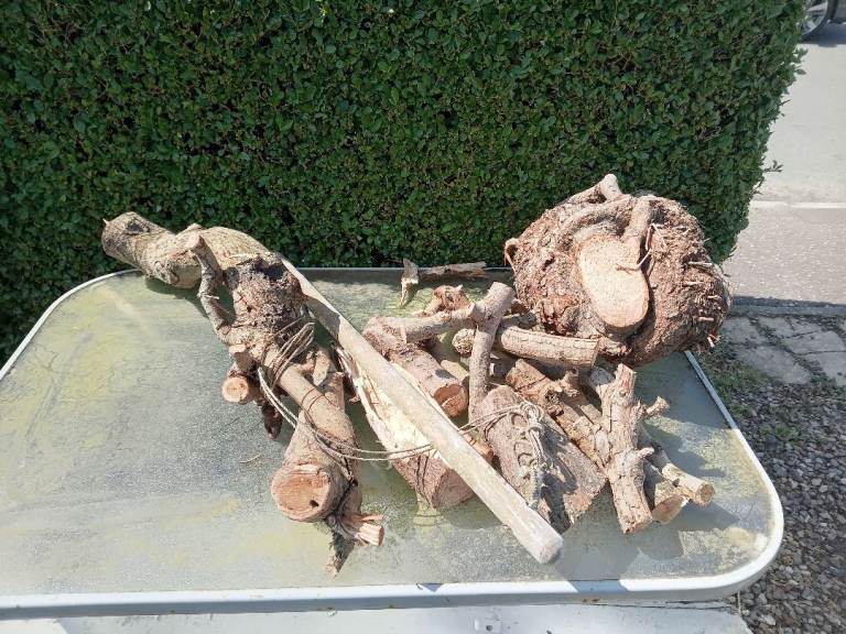 Free wood for burning
