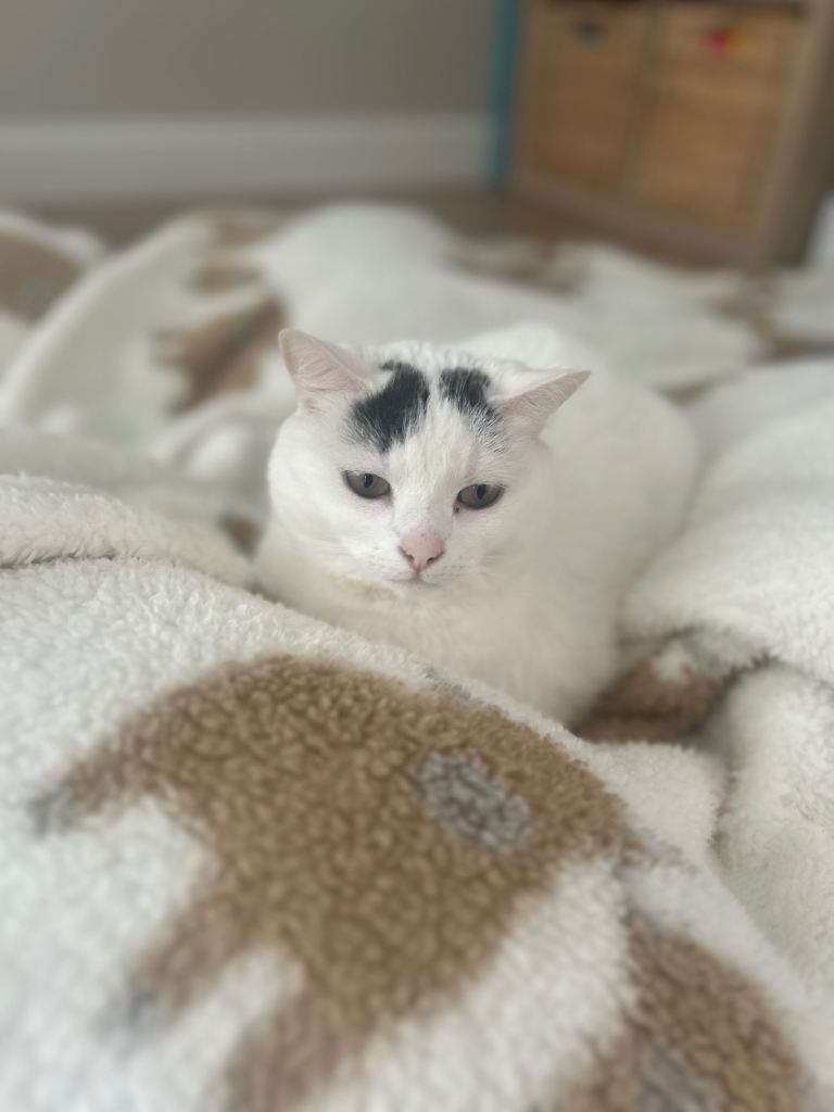  Smudge and Spot 