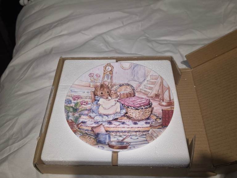 Wedgewood the world off beatrix potter plate