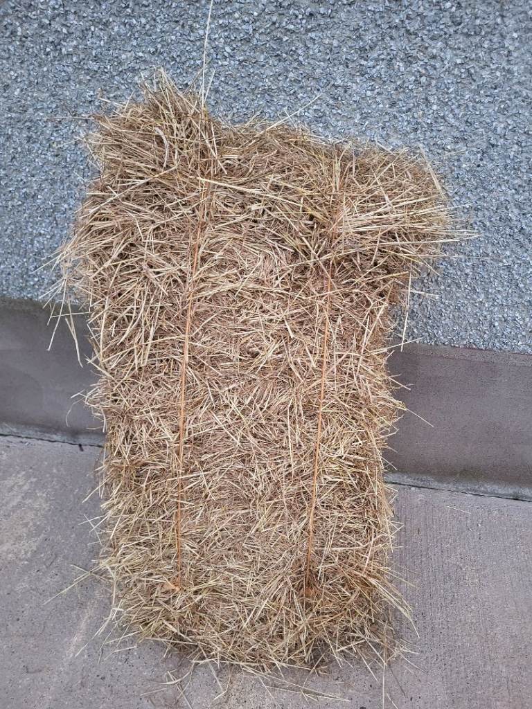SQUARE BALES  HAY ( Small Organic) 