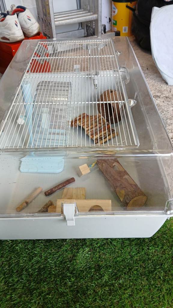 Small animal cage