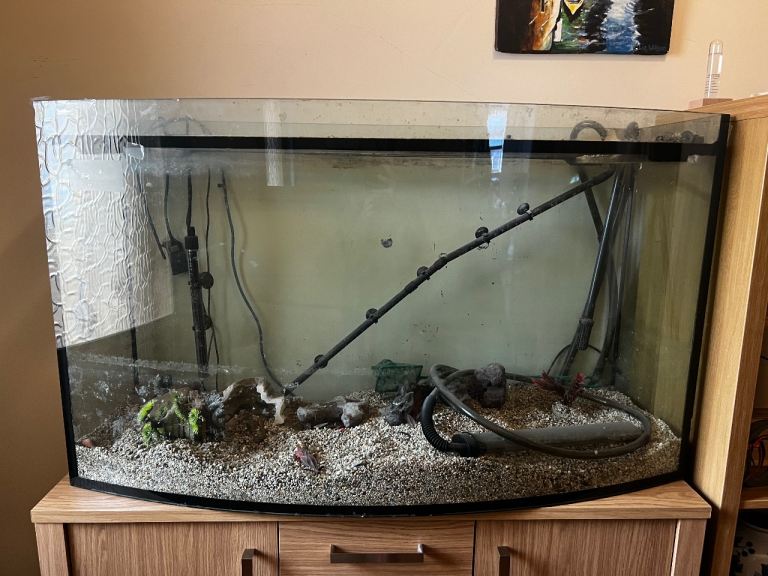 300 Litre Fish Tank