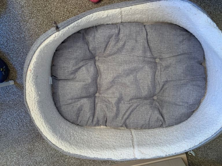 Dog Bed and Dog Toys