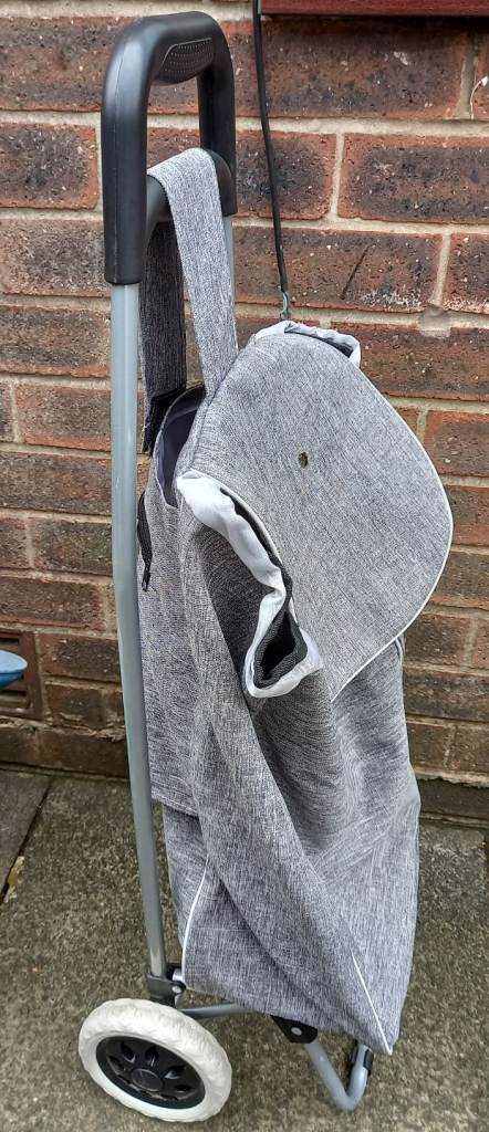 1 X Adult Trolley/Bag