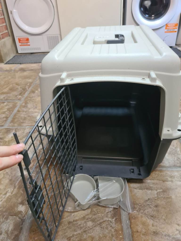 Dog Box