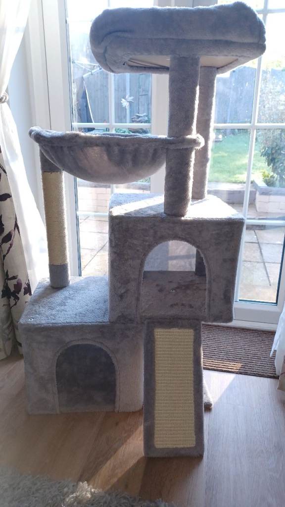 Cat Tree and other accessories