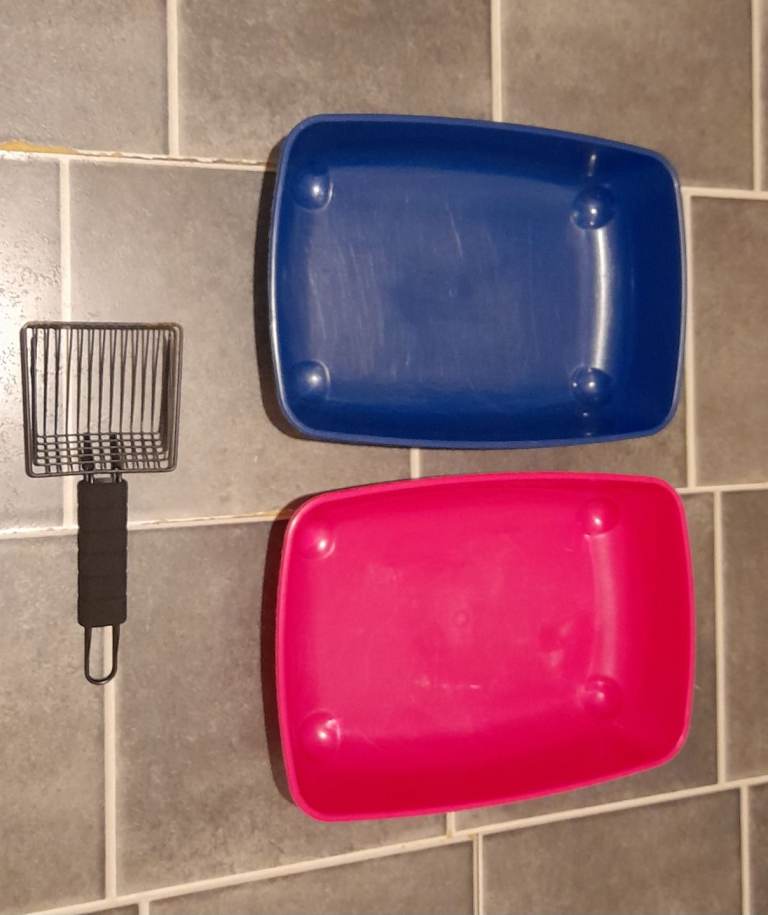 Kitten litter trays with scoop