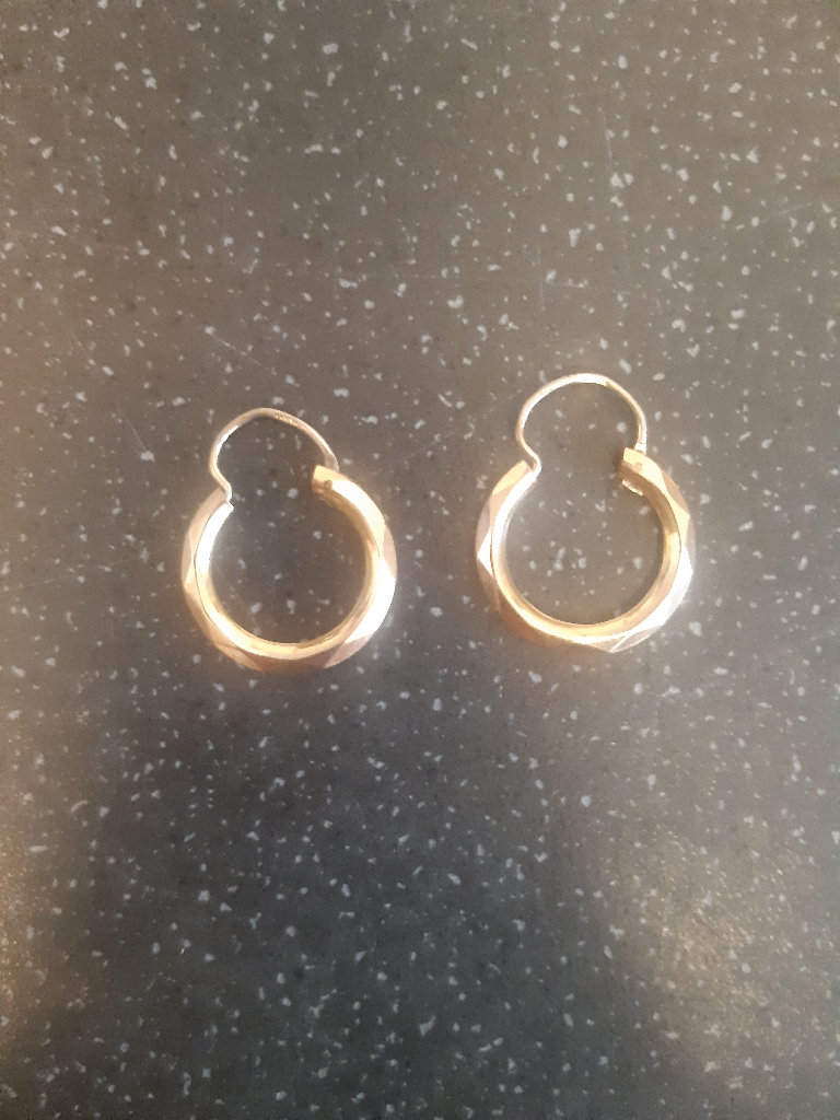 9ct rolled gold earrings 