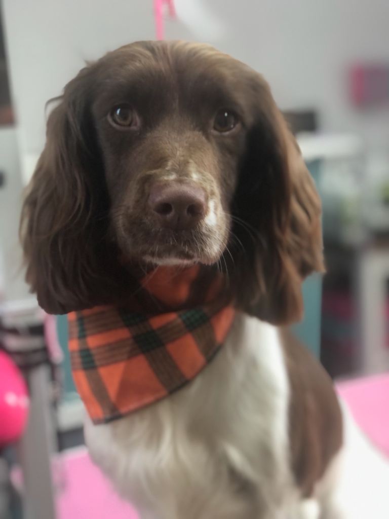 Holly 