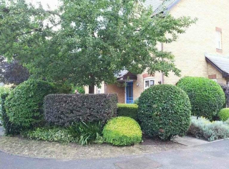 GARDENER 7 DAYS A WEEK RESONABLE PRICES