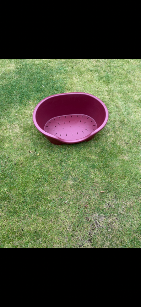 Dog bed 