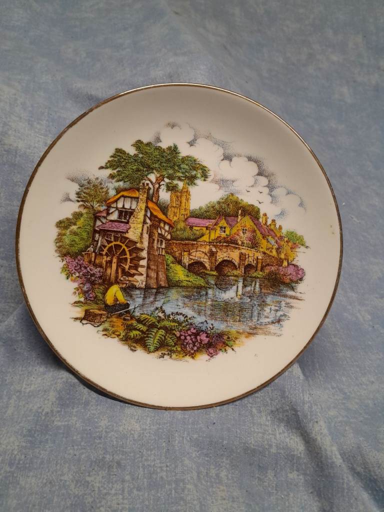 Vintage bone china fishing scenery plate.