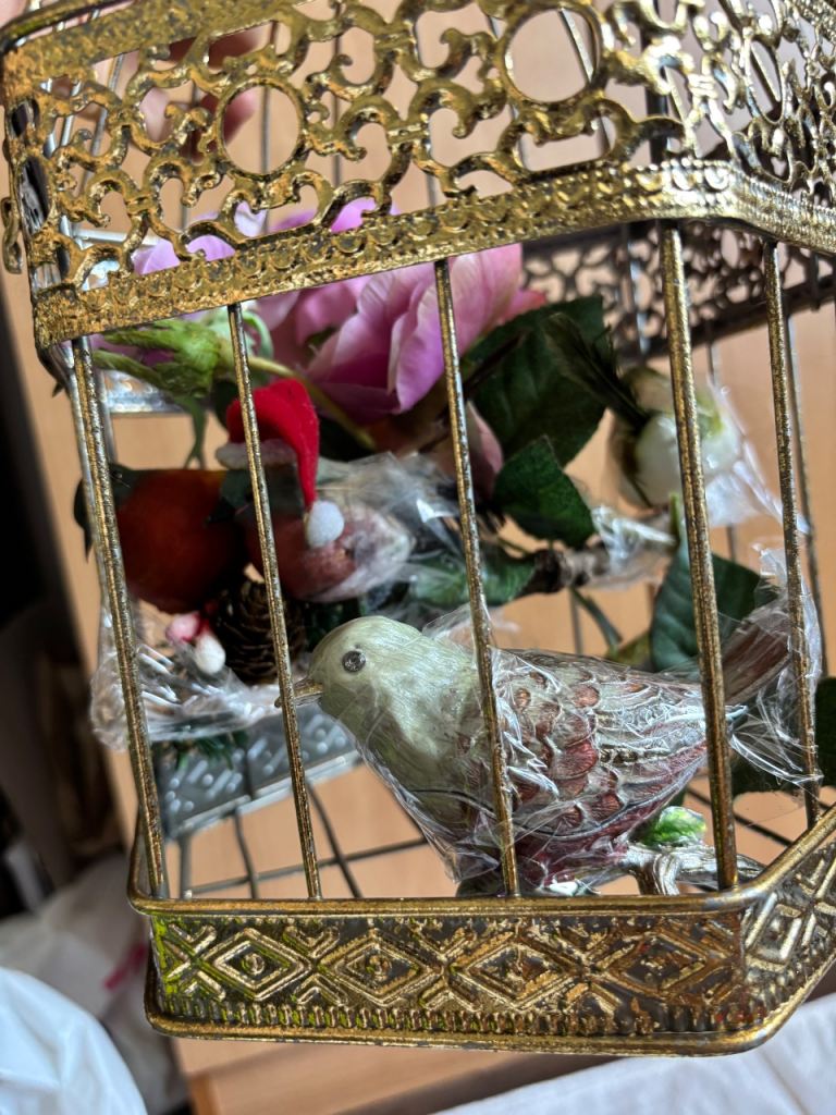 Bird hanging cage