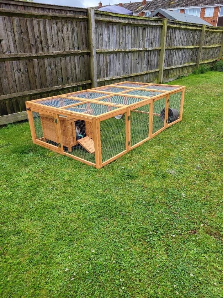 Guinea pig indoor cage and outdoor run
