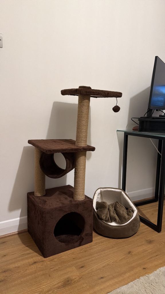 Kitten Bed, play area blanket and toys 