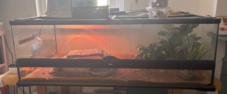 Reptile Terrarium + heat lamp and accessories