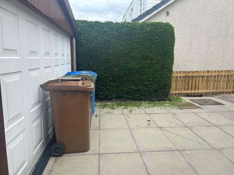 Glasgow/Edinburgh/Falkirk/Fife  garden maintenance 