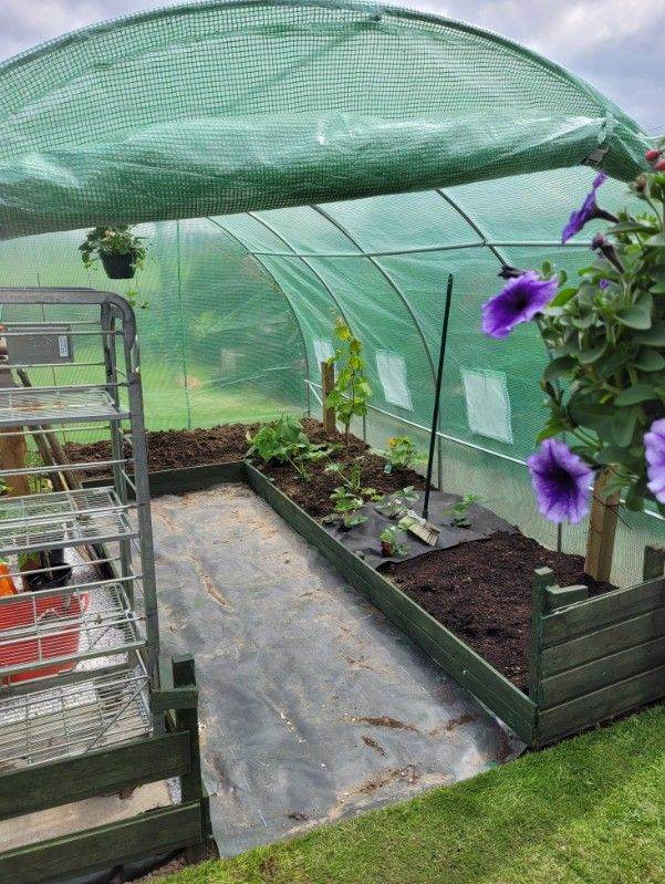 Premium Outdoor Walk-In Greenhouse for Gardens | Strong Steel Polytunnel with UV-Stabilised Cover