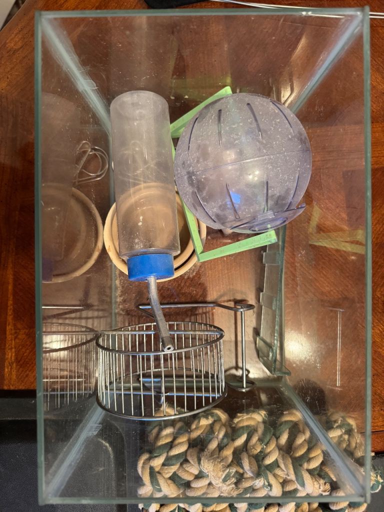 Various items for rodent-type pets 