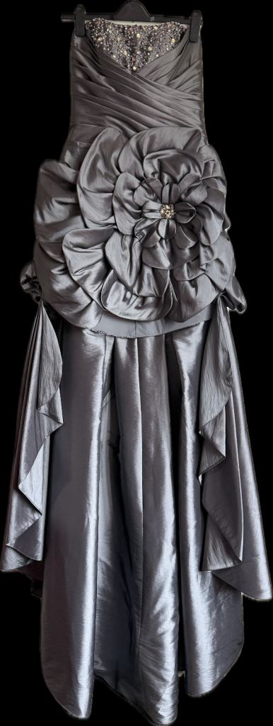 Precious Formals Pewter Beaded Bodice Prom/Evening Dress Size 8, New