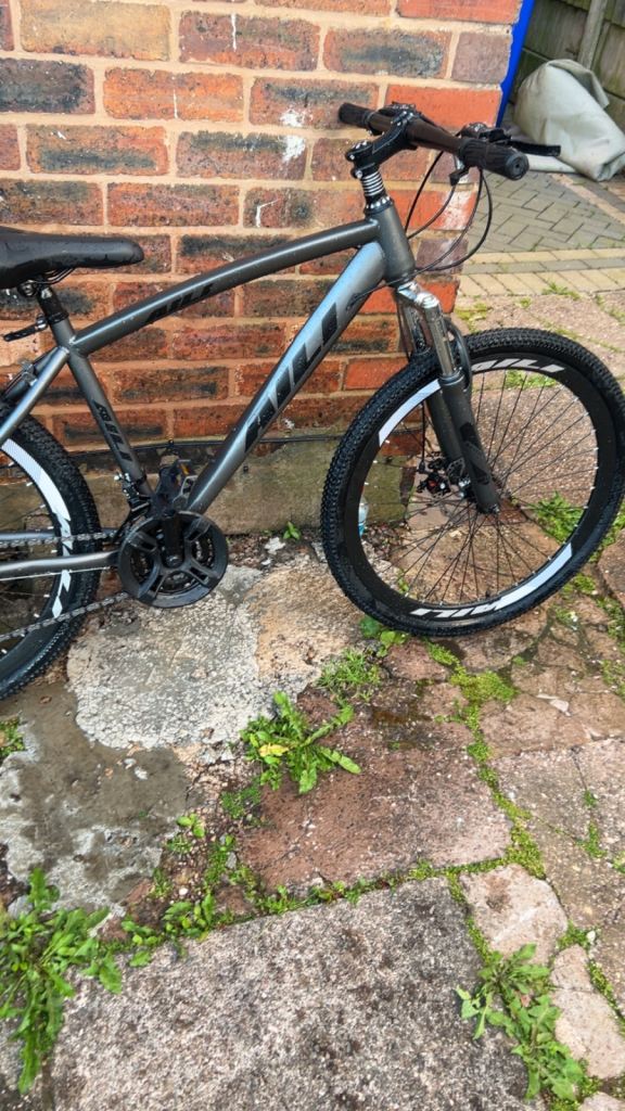 Mountain bike