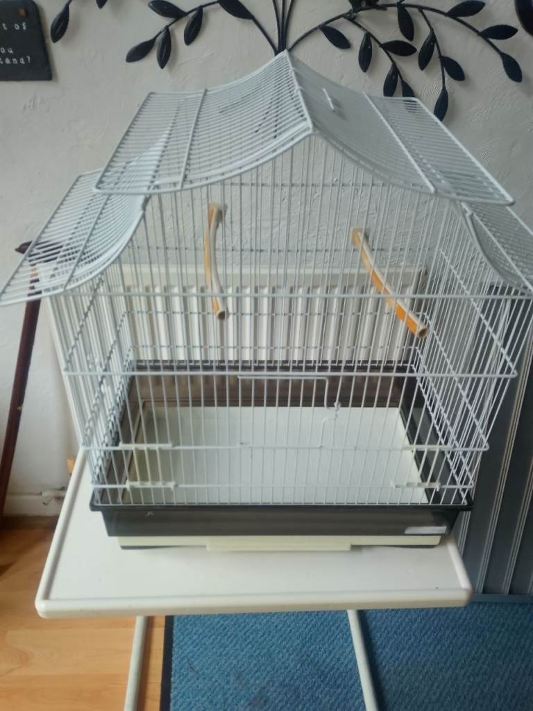 Bird cage 