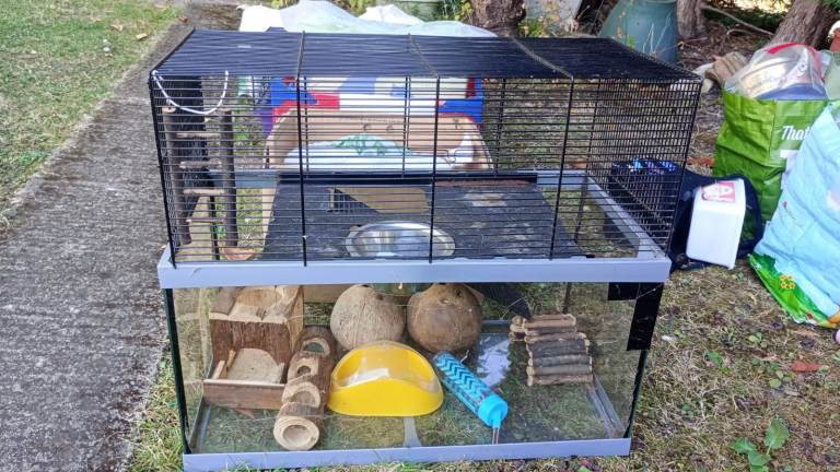 Gage for small mammal pet