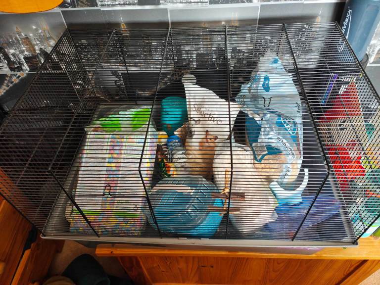 Hamster cage - Everything you need