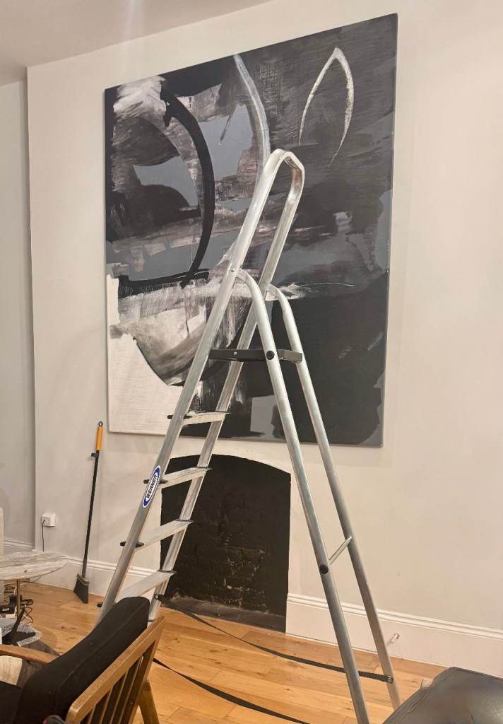 Werner Aluminium Platform Ladder | Tall, Stable, Professional Grade | £75