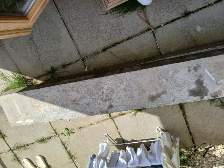 Concrete steps how much to pick up and dispose of the