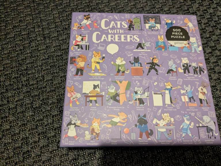 Cats with careers puzzle 