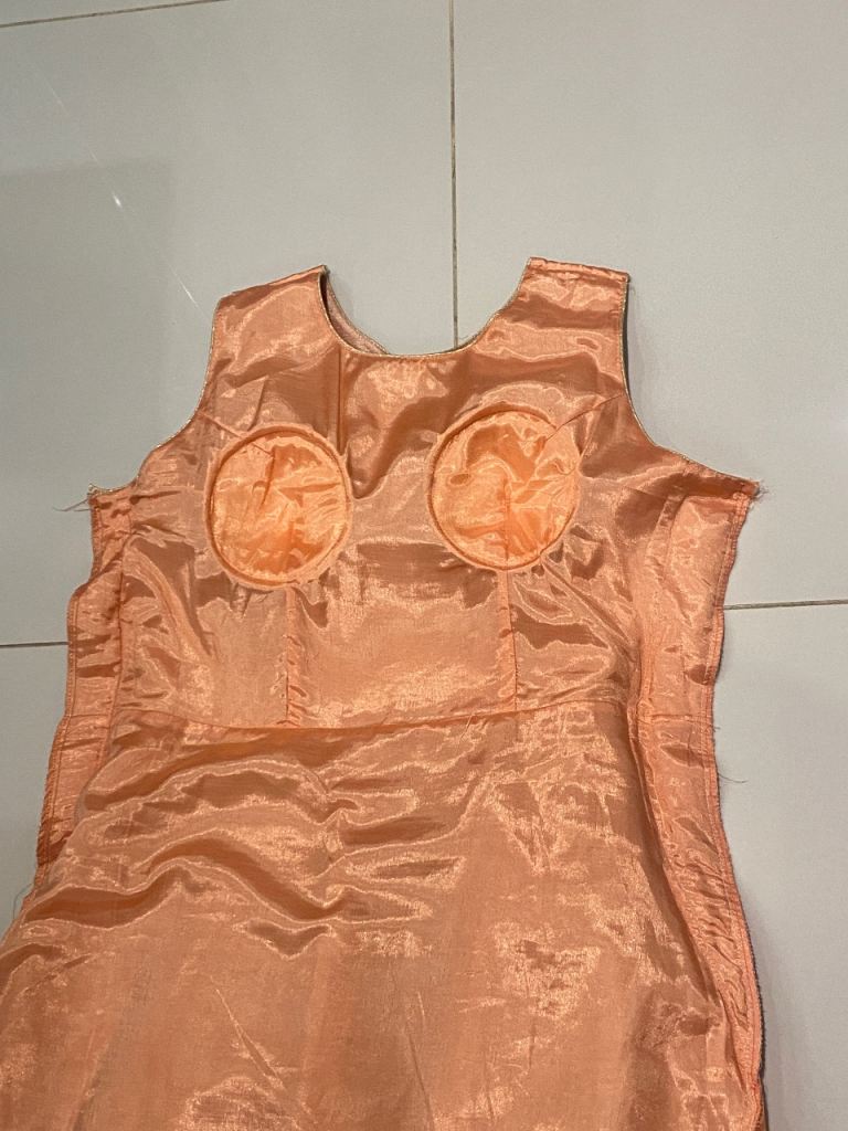 Long Gown, prom Dress, Indian party Suits Wedding Party Bollywood gown