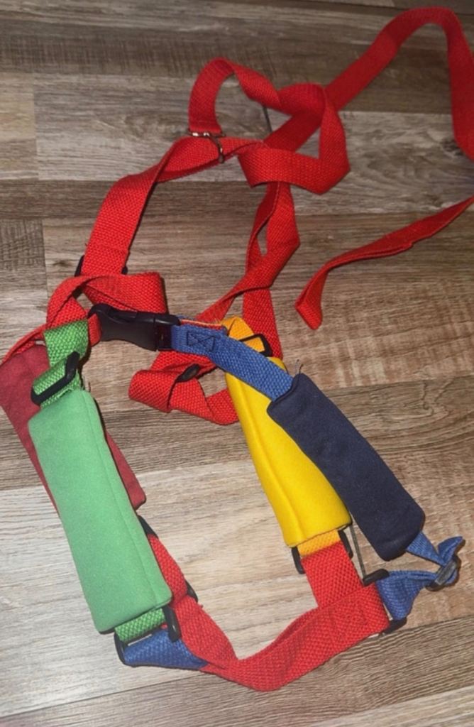 Child reins 