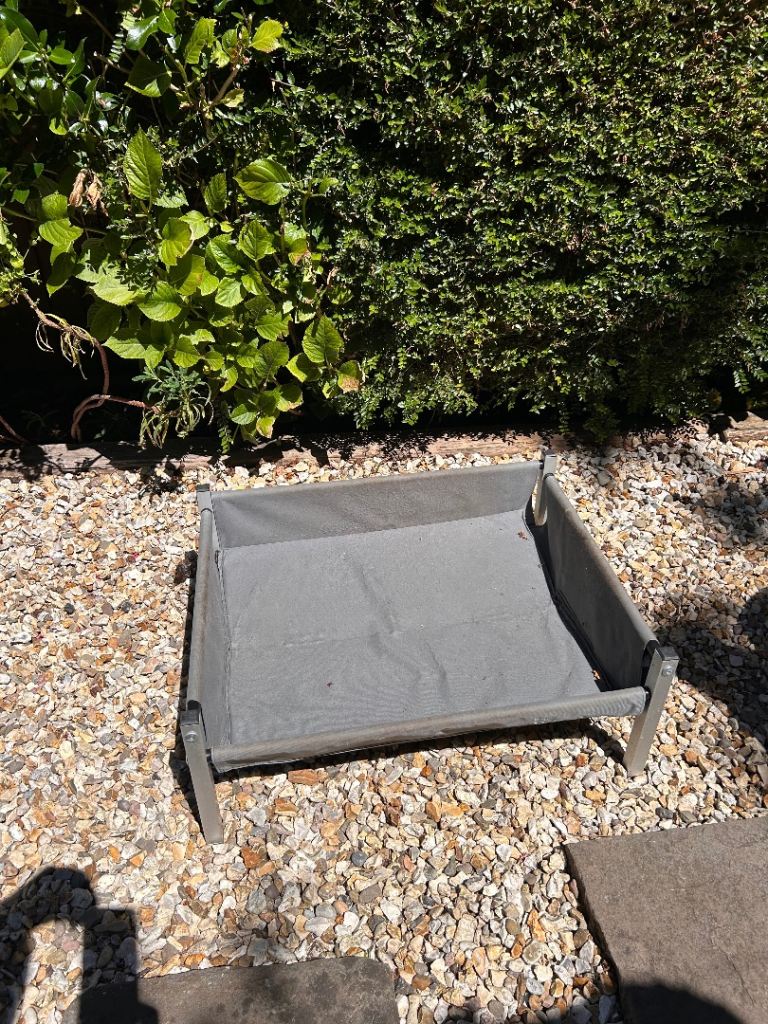 Henry wag raised dog bed 