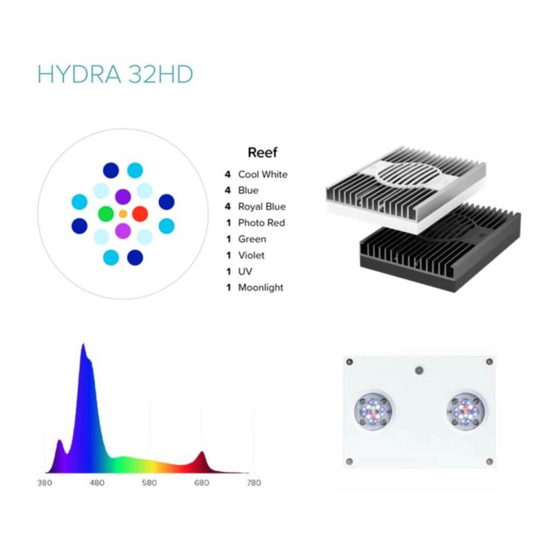 Hydra 32