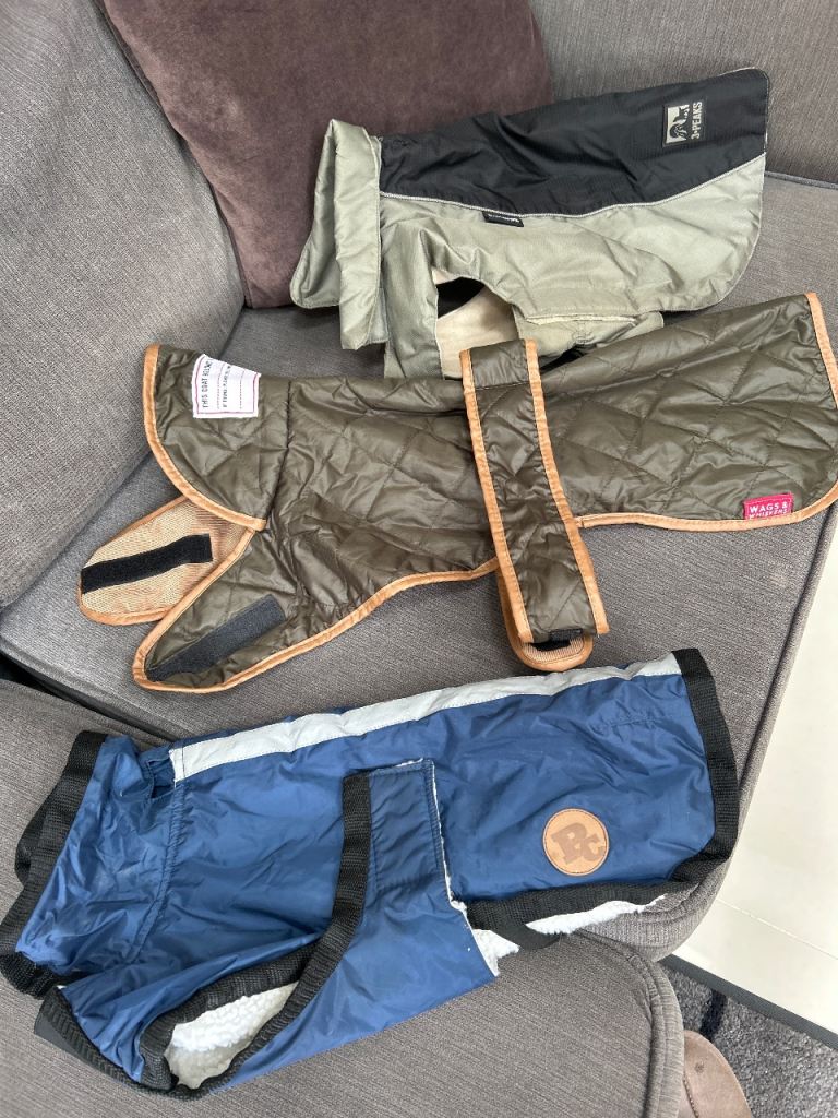 3 dog coats