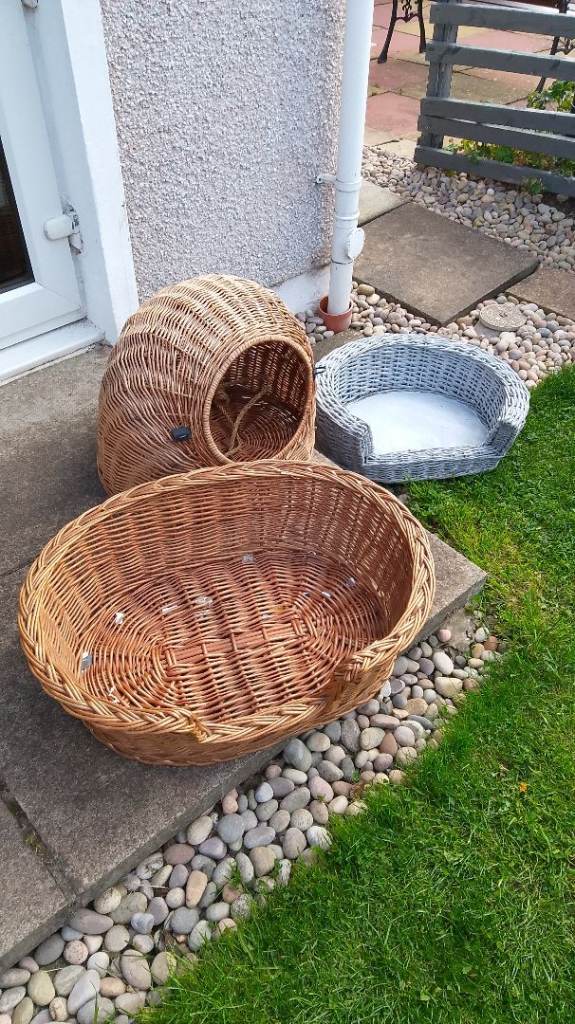 Wicker Pet Beds and Igloo Style Cat or Small Dog Bed