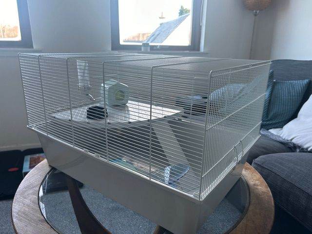 Dwarf or Syrian Hamster Cage