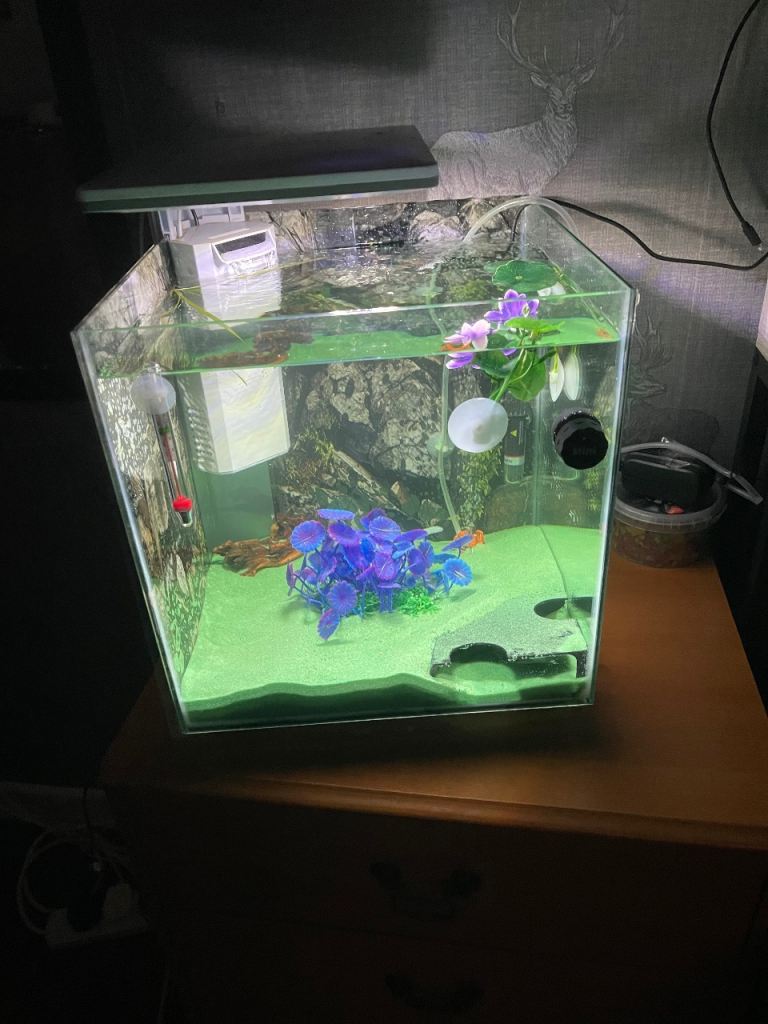Small Glass Aquarium with Accessories – Good Condition
