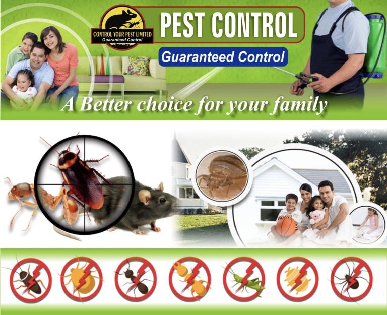Rat Mice Cockroaches wasps Ants bed bugs 100% Pest control same day