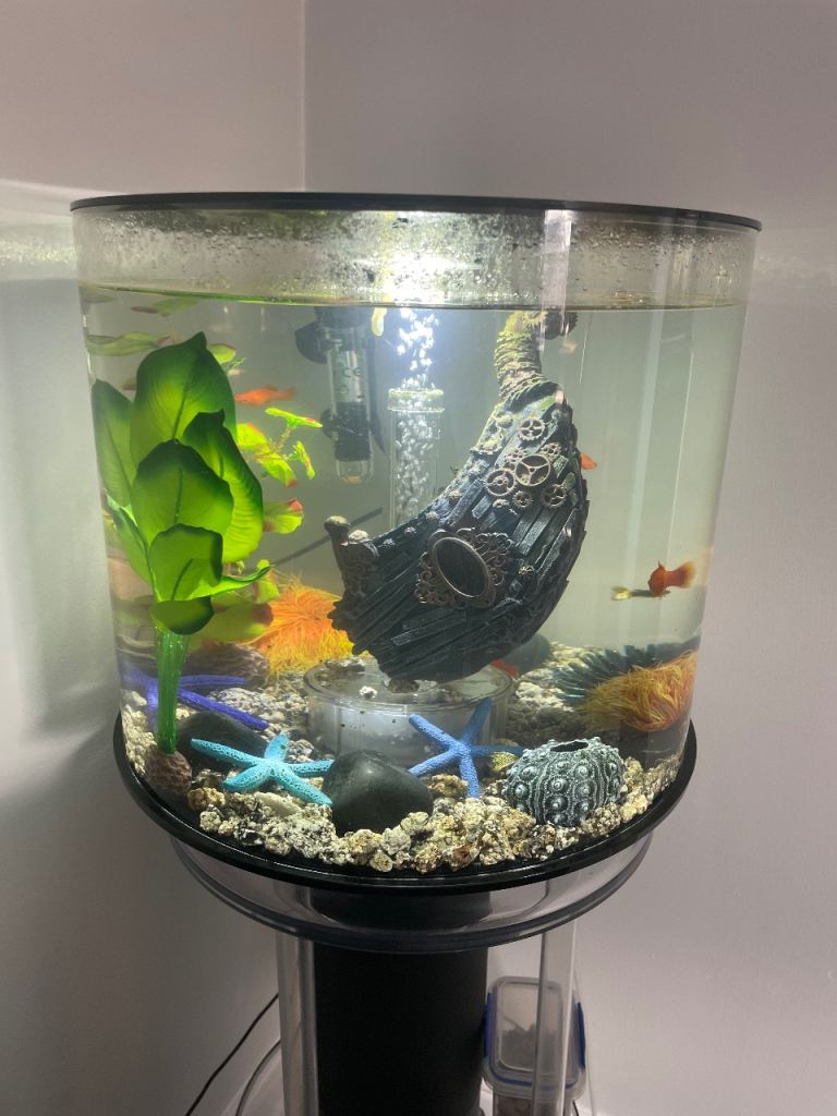 Biorb Tube 35 Black Aquarium & stand