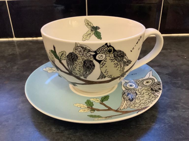 Large Portmerion Owl Design Tea Cup and Saucer