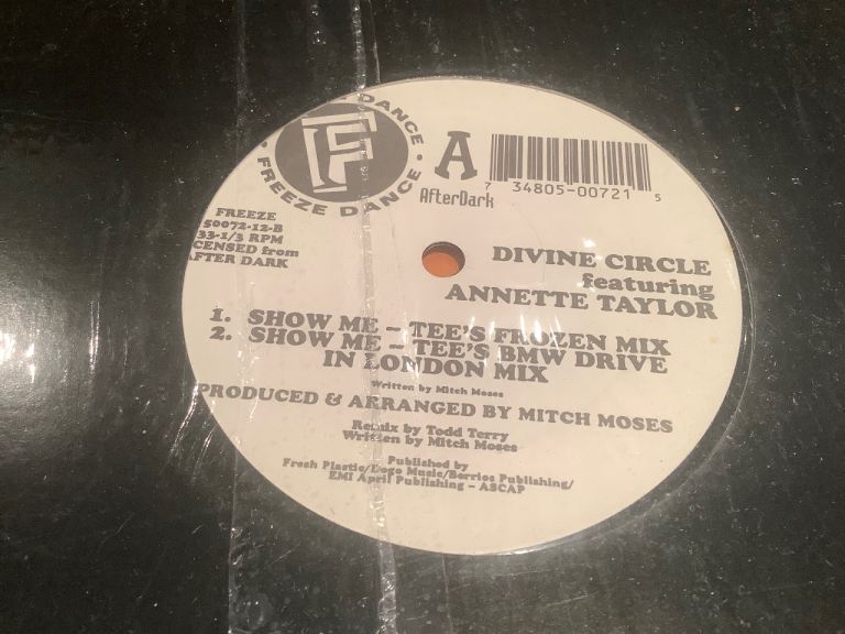 11 HOUSE MUSIC RECORDS VINYL VOCAL SOULFUL OLD SCHOOL MR V TODD TERRY ARMAND VAN HELDEN